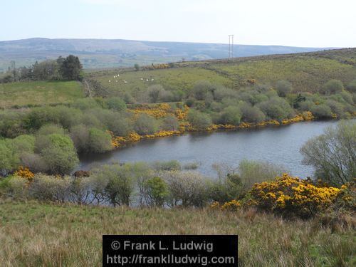 Lough Nasool Drained (2006)